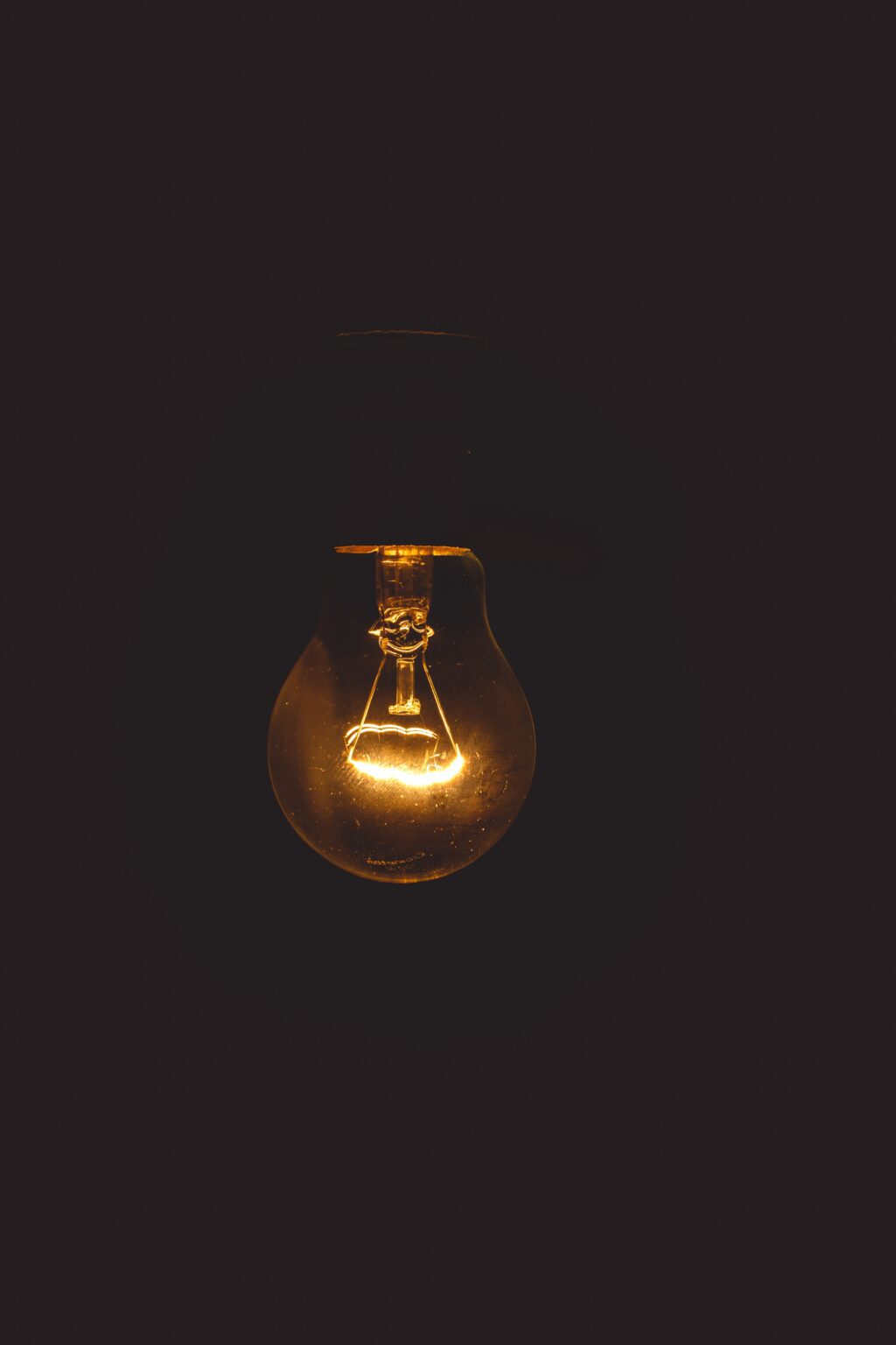 a picture of bulb